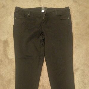 Women's plus size pants